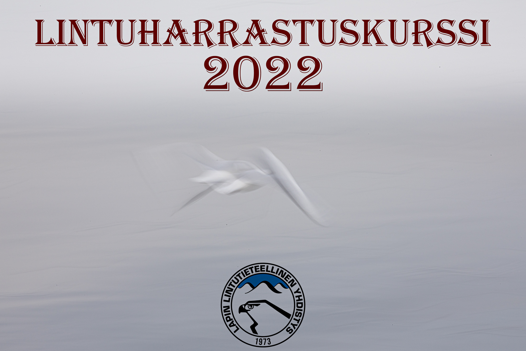 Lintuharrastuskurssi 2022 – Lapin lintutieteellinen yhdistys ry